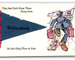 Applied Felt Pennant Comic Add-on Wallaceburg Ontario Canada DB Postcard... - $17.03