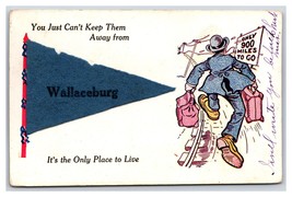 Applied Felt Pennant Comic Add-on Wallaceburg Ontario Canada DB Postcard... - £13.58 GBP