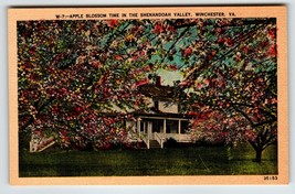 Apple Blossom Time Shenandoah Valley Virginia Postcard Linen Unposted Asheville - £7.00 GBP