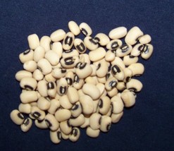 FA Store Pea BlackEyed Cow Peas Grow And Store Your Own 60 Seeds Us  - £5.66 GBP