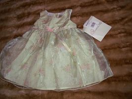 New GirlsYoungland Baby Sage/Pink Flower Dress Size 18M Dressy Cute Slee... - $14.99