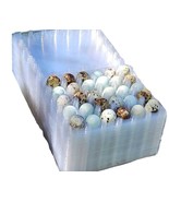 30 hole quail egg cartons for jumbo quail eggs 50 count - $57.62 CAD