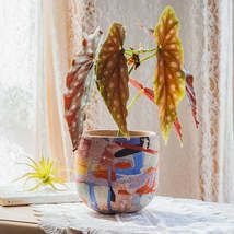 Matisse Ceramic Flower Pot Medium Art Flower Pot Succulent Plant Orchid ... - $97.00