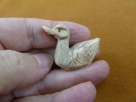 (Y-DUC-14) tan DUCK bird stone soapstone CARVING PERU I love water fowl ... - $8.59