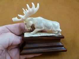 moose-29 white Moose Elk bull running shed ANTLER figurine Bali detailed... - £61.49 GBP