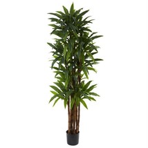 6.5’ Dracaena Tree - £159.72 GBP