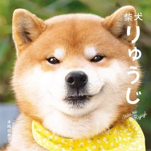 Shibainu Ryuji Japanese book kawaii Shiba dog pet photo Japan - £23.56 GBP