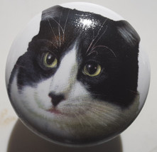Cabinet Knobs w/ Kitten Black and White Tabby 272 - £4.06 GBP