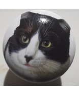 Cabinet Knobs w/ Kitten Black and White Tabby 272 - $7.12 CAD