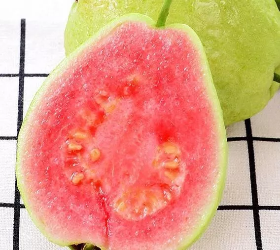 Pink pearl guava 20 SEEDS Fast Shipping US - £8.60 GBP