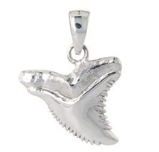 Jewelry Trends Sterling Silver Shark Tooth Pendant - £29.00 GBP