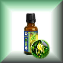 Ylang-Ylang Essential Oil (Cananga Odorata) - $112.94 MXN+