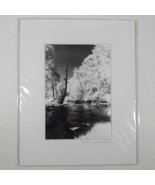 White Mat Photo Landscape Park Infrared Photography Limited Ed 2/2 Signe... - $19.40