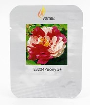 Er Qiao White Dark Red Fragrant Peony Tree Flower Seeds Pack 5 Seeds Flower E320 - £9.37 GBP