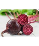 200 Early Wonder Beet Seeds - $168.96 MXN