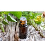 Organic Tulsi / holy basil Oil  100ml - $630.89 MXN