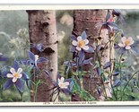 Colorado Columbine Flowers and Aspens UNP Unused Linen Postcard N25 - £2.34 GBP