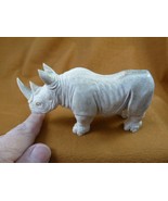 (rhino-w22) little white Rhinoceros Rhino of shed ANTLER figurine Bali d... - €336,07 EUR
