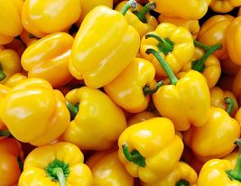 50 Seeds Organic Golden California Wonder Bell Sweet Pepper Fresh Garden - £7.66 GBP