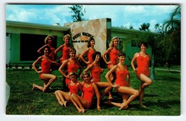 Weeki Wachee Mermaid Florida Postcard 11 Women In Red Swimsuits Chrome Unused - £6.29 GBP