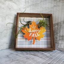 Fall Decor Plaque, live air plants, Wooden shadow box, autumn leaf "Happy Fall" image 9