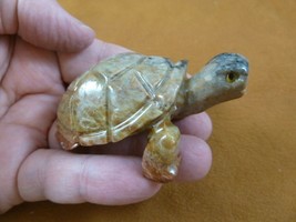 (Y-TUR-LA-303) gray Tortoise land turtle carving SOAPSTONE FIGURINE baby turtles - £12.74 GBP