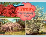 Greetings From the Hospitality State Mississippi MS UNP Chrome Postcard N5 - $2.92