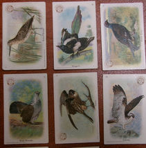 Item image 10