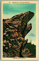 Bowling Rock Western North Carolina UNP Unused Linen Postcard G2 - £2.29 GBP