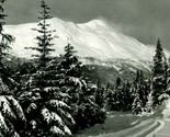 RPPC Montante MT Taylor Inverno Wonderland Alaska Ak Unp Cartolina Non U... - £16.43 GBP