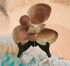 Arts &amp; Crafts Seashell Decor Art Piece Sea Beach Shells Ocean Design - £19.18 GBP