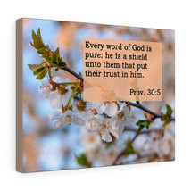   He Is A Shield Proverbs 30:5 Bible Verse Canvas Christian Wall - £37.96 GBP+