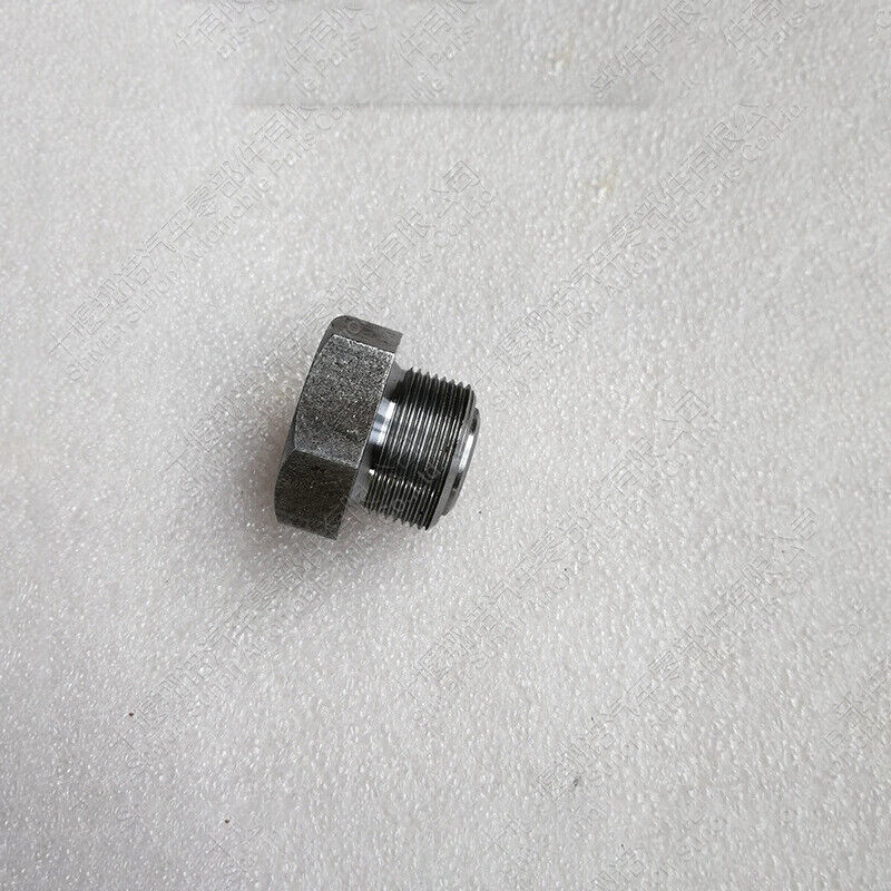 Threaded Plug 3040813 Fit For Cummins 11L M11 4B 6B K38 K50 3037536 - $12.17
