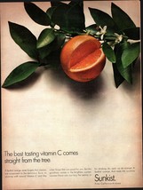 Vintage 1967 Sunkist Oranges Full Page Original Ad nostalgic ad b8 - $21.21
