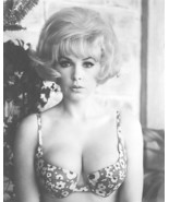 STELLA STEVENS POSTER 24X36 INCHES PLAYBOY PLAYMATE PIN-UP 1960s 61X90 CM - £31.96 GBP