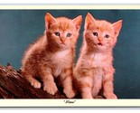 Lot of 10 Adorable Cats and Kittens Chrome Postcard lot U9 - $9.09