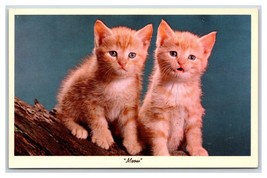 Lot of 10 Adorable Cats and Kittens Chrome Postcard lot U9 - £7.28 GBP