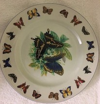 Tabletops Unlimited Butterflies Blue Trim Butterfly Rim &amp; Center 1 Dinner Plate - £11.62 GBP