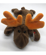 TY Beanie Original Baby Chocolate the Moose with Tags - $12.86