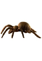 Large Tarantula Spider Cast Iron Outdoor Statue 7 1/2&quot; x 5&quot; x 3&quot; (a) D15 - £108.60 GBP
