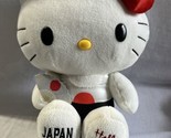 Sanrio Character Hello Kitty Japan plush doll Stuffed Toy Rare HTF - $84.10