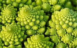 Seeds 300 Romanesco Broccoli Vegetable Garden NONGMO - £8.25 GBP