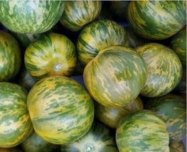 Fresh Green Zebra Tomato Seeds 50 Ct  - $4.00