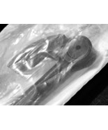 Snap-on Loose hand tools Pbmp8a 483282 - €110,82 EUR Snap-on Loose hand tools Pbmp8a 483282 - €110,82 EUR