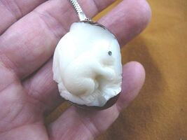 TNE-SQU-246B) Squirrel nut TAGUA NUT Figurine KEY CHAIN ring squirrels - $17.93