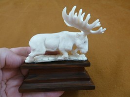 moose-22 white Moose Elk bull running shed ANTLER figurine Bali detailed... - £55.62 GBP