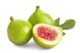 100 Green Ischia Fig Seeds Planting US Seller Fast Shipping - $5.48