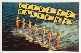 Beauty on Parade Aquamaids Water Skiing Cypress Gardens Florida Postcard c1960s - $7.99