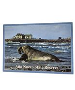 Postcard Northern Elephant Seal Ano Nuevo State Reserve Pescadero Califo... - $9.90 CAD