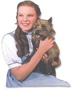 THE WIZARD OF OZ MAGNET - DOROTHY WITH TOTO - OVER THE RAINBOW   - $7.99